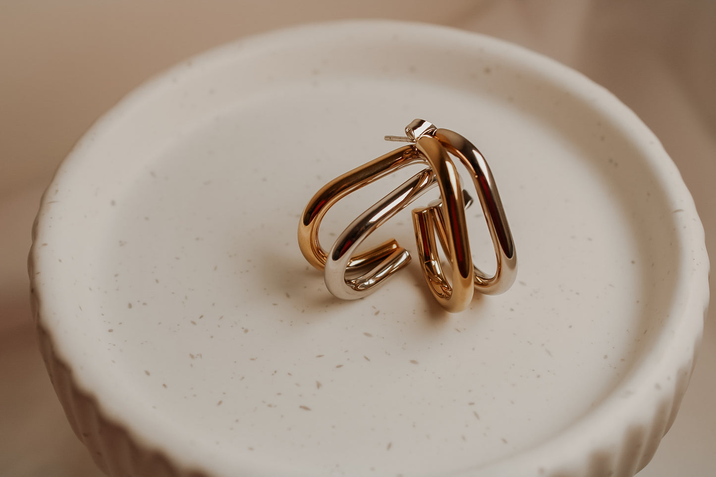 Gold & Silver Hoops